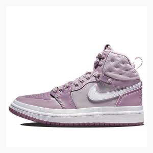 Nike Acclimate Dusty Basketbol Ayakkabısı Air Jordan 1 Kadın Mor | JD-426OT