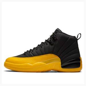 Nike Retro Basketbol Ayakkabısı Air Jordan 12 Erkek Altın Siyah | JD-401WY