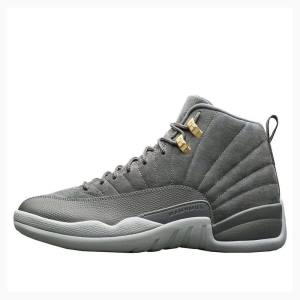 Nike Retro Basketbol Ayakkabısı Air Jordan 12 Erkek Koyu Gri | JD-843YP