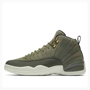 Nike Retro Chris Paul - Class of 2003 Basketbol Ayakkabısı Air Jordan 12 Erkek Yeşil | JD-178NF