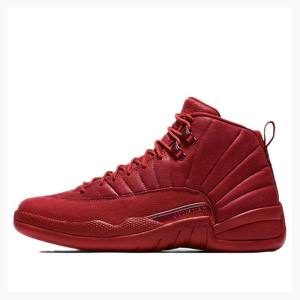 Nike Retro Gym Basketbol Ayakkabısı Air Jordan 12 Erkek Kırmızı | JD-058FD