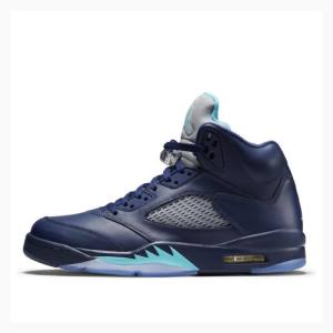 Nike Retro Hornets Basketbol Ayakkabısı Air Jordan 5 Erkek Lacivert | JD-768SP