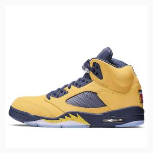 Nike Retro SE Michigan Basketbol Ayakkabısı Air Jordan 5 Erkek Sarı | JD-938PU