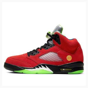 Nike Retro SE What The Basketbol Ayakkabısı Air Jordan 5 Erkek Renkli | JD-572YI