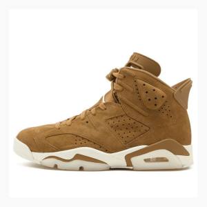 Nike Retro Wheat Basketbol Ayakkabısı Air Jordan 6 Erkek Kahverengi | JD-027NC