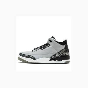 Nike Retro Wolf Basketbol Ayakkabısı Air Jordan 3 Erkek Gri | JD-560UI