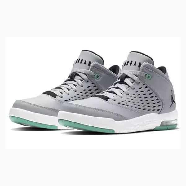 Nike Flight Origin 4 Basketbol Ayakkabısı Air Jordan Erkek Gri Yeşil | JD-079LS