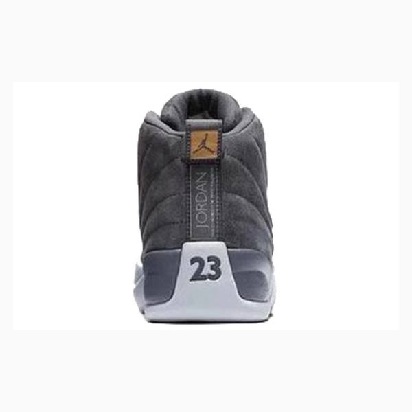 Nike Retro Basketbol Ayakkabısı Air Jordan 12 Erkek Koyu Gri | JD-843YP