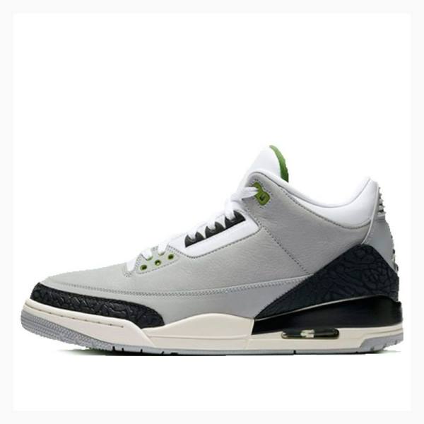 Nike Retro Chlorophyll Basketbol Ayakkabısı Air Jordan 3 Erkek Gri Siyah | JD-207TQ