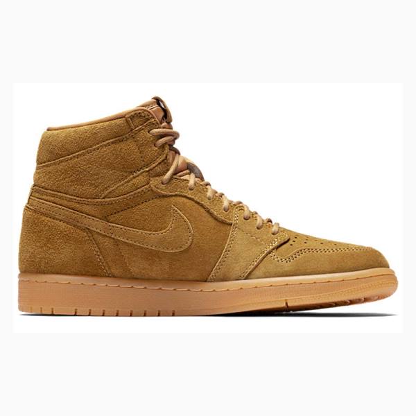 Nike Retro High OG Basketbol Ayakkabısı Air Jordan 1 Erkek Kahverengi | JD-648UA