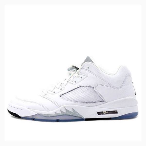 Nike Retro Low 2006 Spor Ayakkabı Air Jordan 5 Kadın Beyaz | JD-351GK