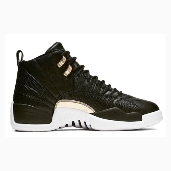 Nike Retro Metallic Basketbol Ayakkabısı Air Jordan 12 Kadın Siyah | JD-978QL