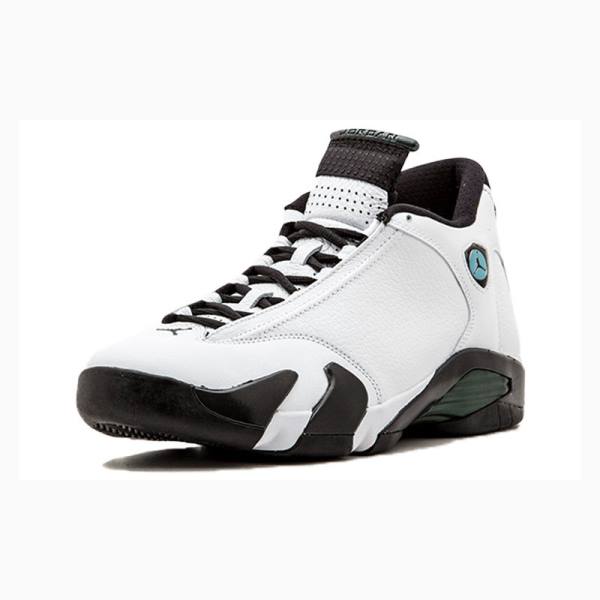 Nike Retro Oxidized Basketbol Ayakkabısı Air Jordan 14 Erkek Beyaz Siyah | JD-475EQ