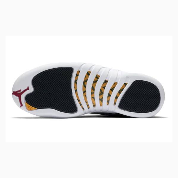 Nike Retro Reverse Taxi Basketbol Ayakkabısı Air Jordan 12 Erkek Siyah Beyaz | JD-981EK