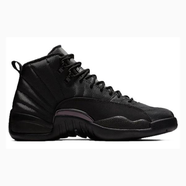 Nike Retro WNTR Winterized - Anthracite Basketbol Ayakkabısı Air Jordan 12 Erkek Siyah | JD-145PW