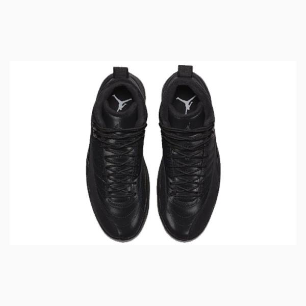 Nike Retro WNTR Winterized - Anthracite Basketbol Ayakkabısı Air Jordan 12 Erkek Siyah | JD-145PW