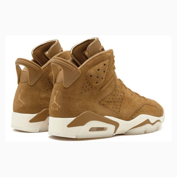 Nike Retro Wheat Basketbol Ayakkabısı Air Jordan 6 Erkek Kahverengi | JD-027NC