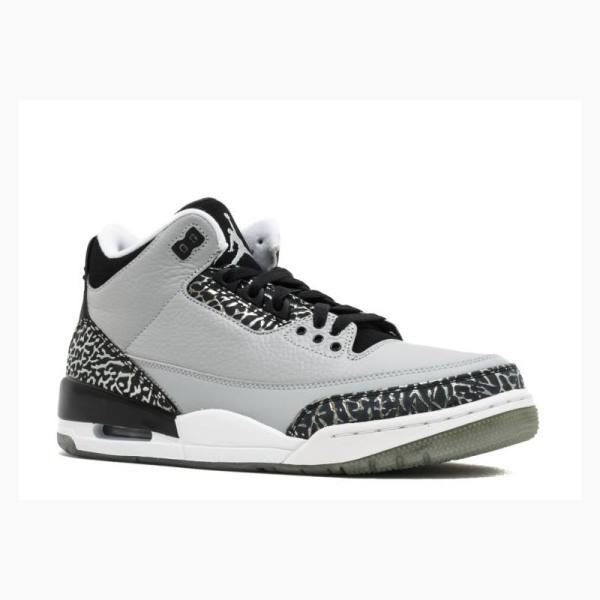 Nike Retro Wolf Basketbol Ayakkabısı Air Jordan 3 Erkek Gri | JD-560UI